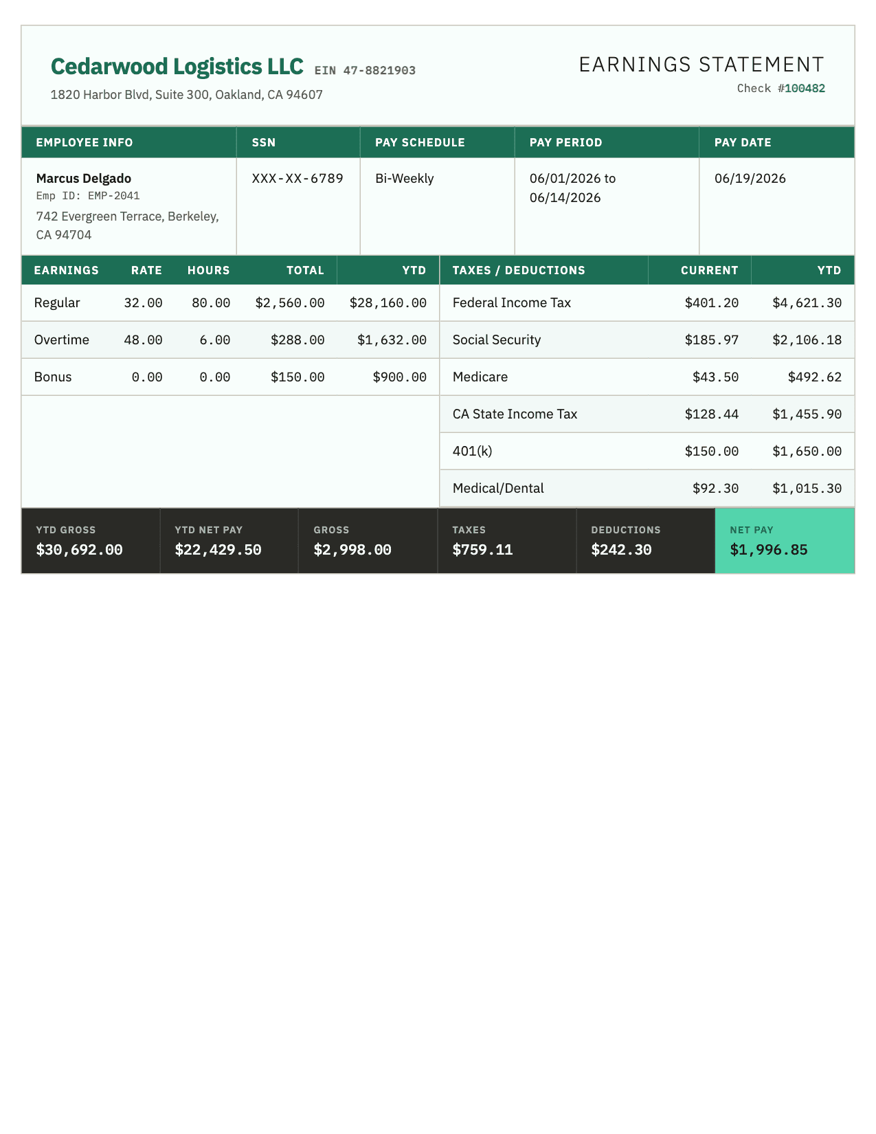 Classic pay stub template in Emerald Green