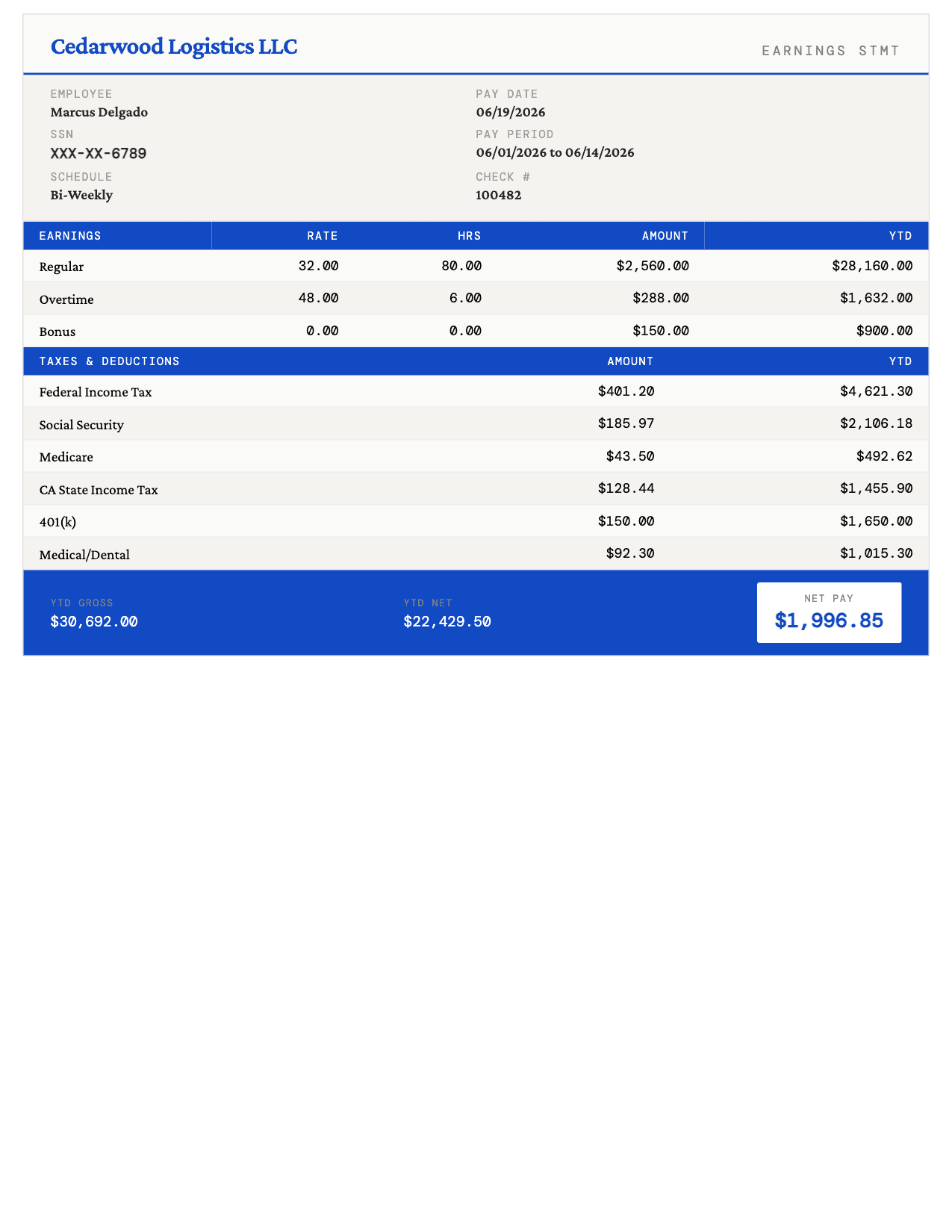Compact pay stub template in Ocean Blue